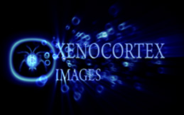 xenoimages